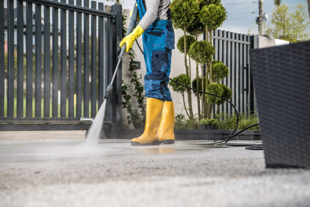 Best Sidewalk and Walkway Cleaning  in Elwood, UT